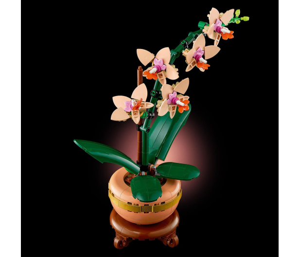 LEGO Botanicals 10343 Mała orchidea - 1283645 - zdjęcie 5